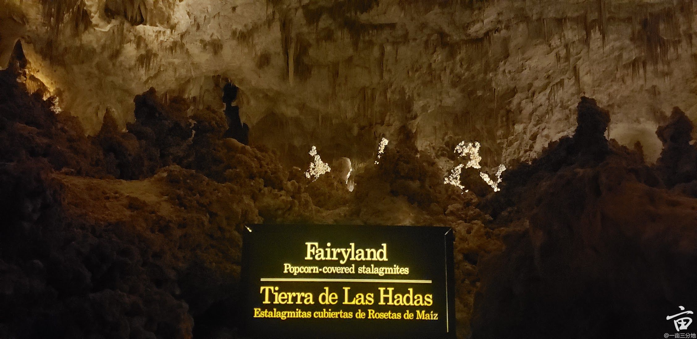 20201217_154025.jpg