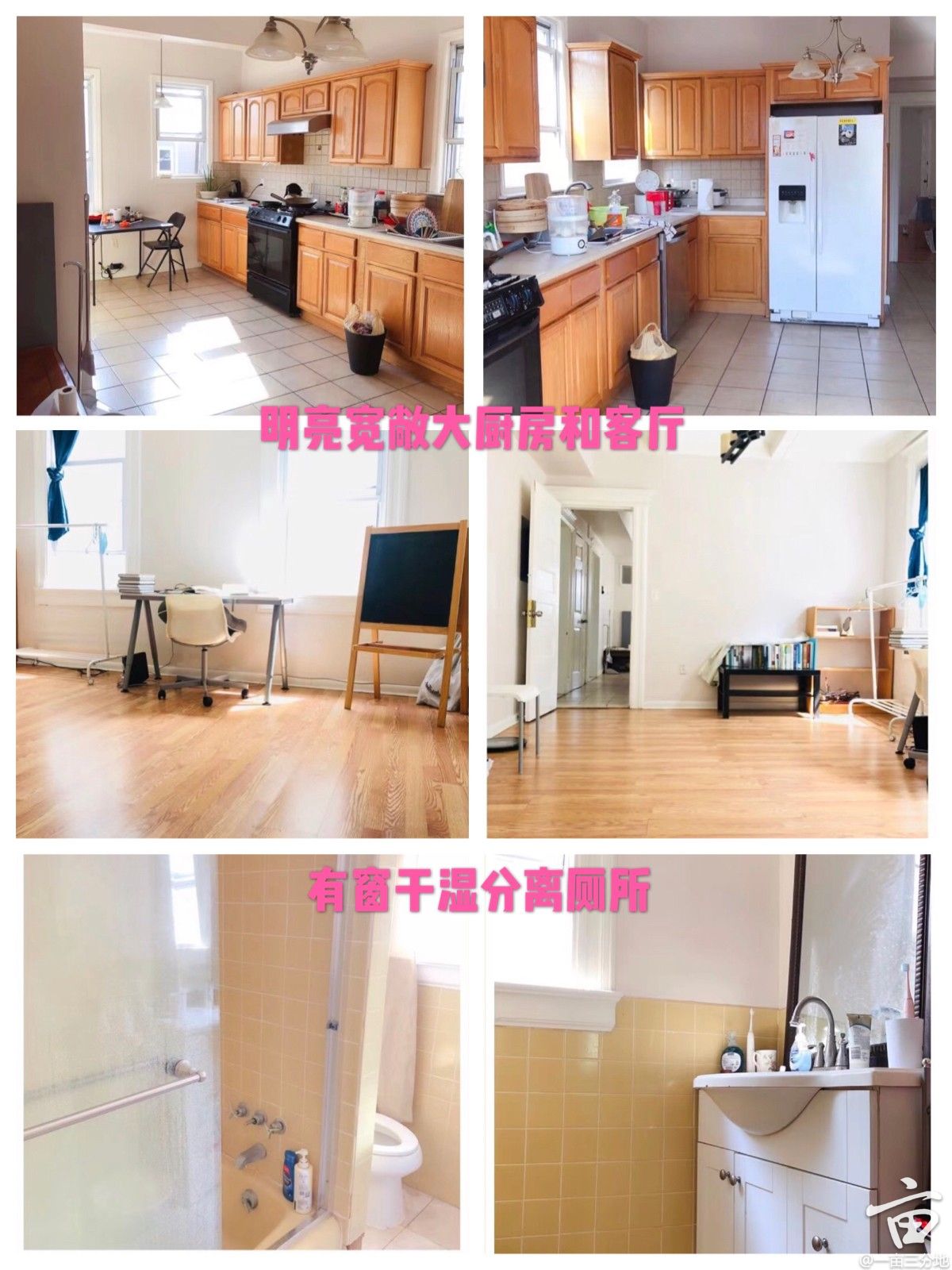 找不到实习 一亩三分地 - w1ukolv