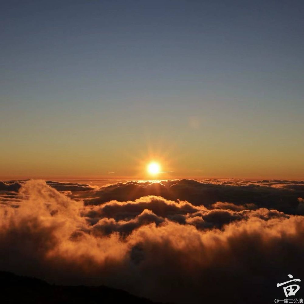 2D3CA1EB-4F8C-40E7-9F81-E90A7E860086.jpg