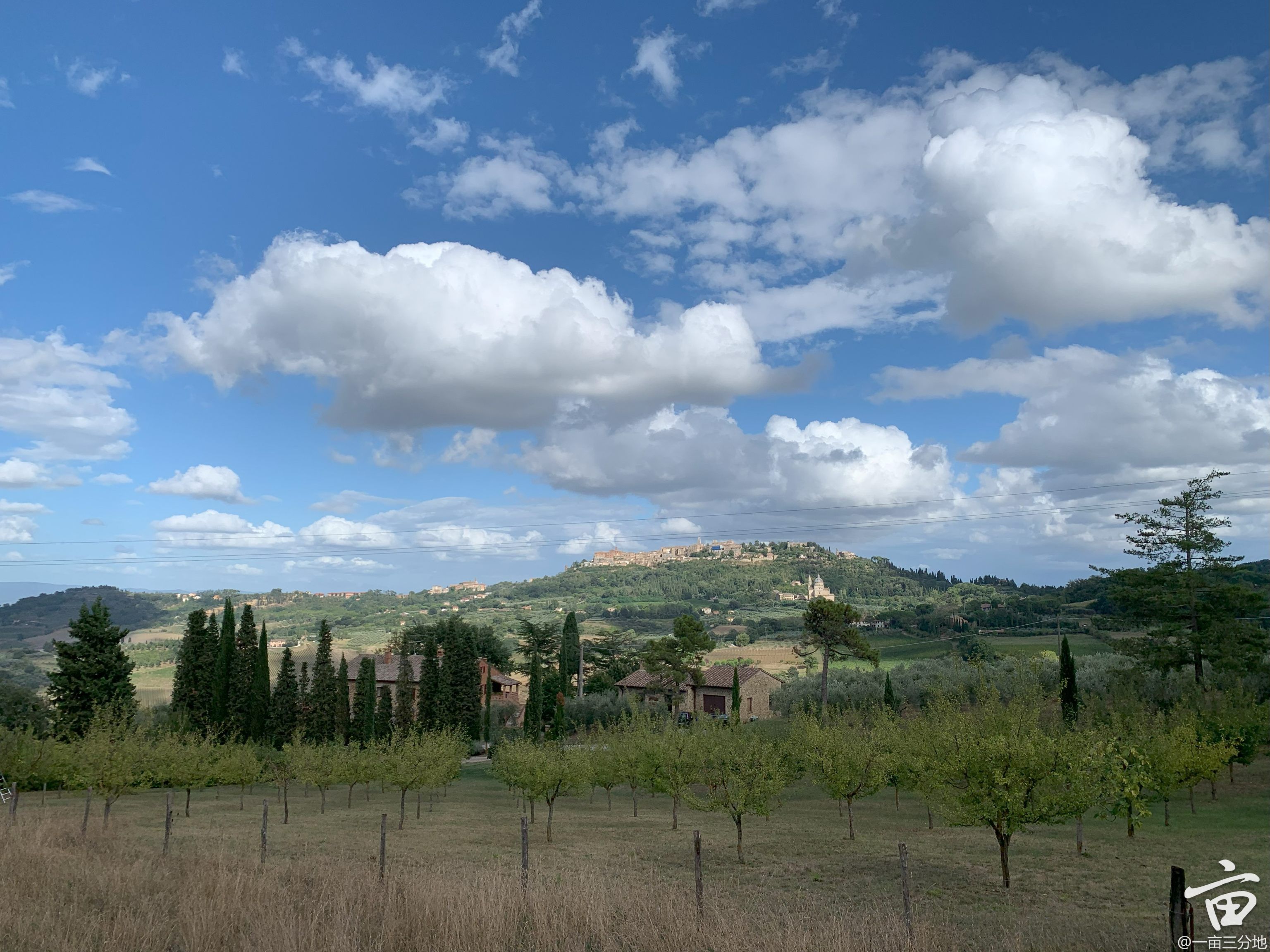 montepulciano.jpg