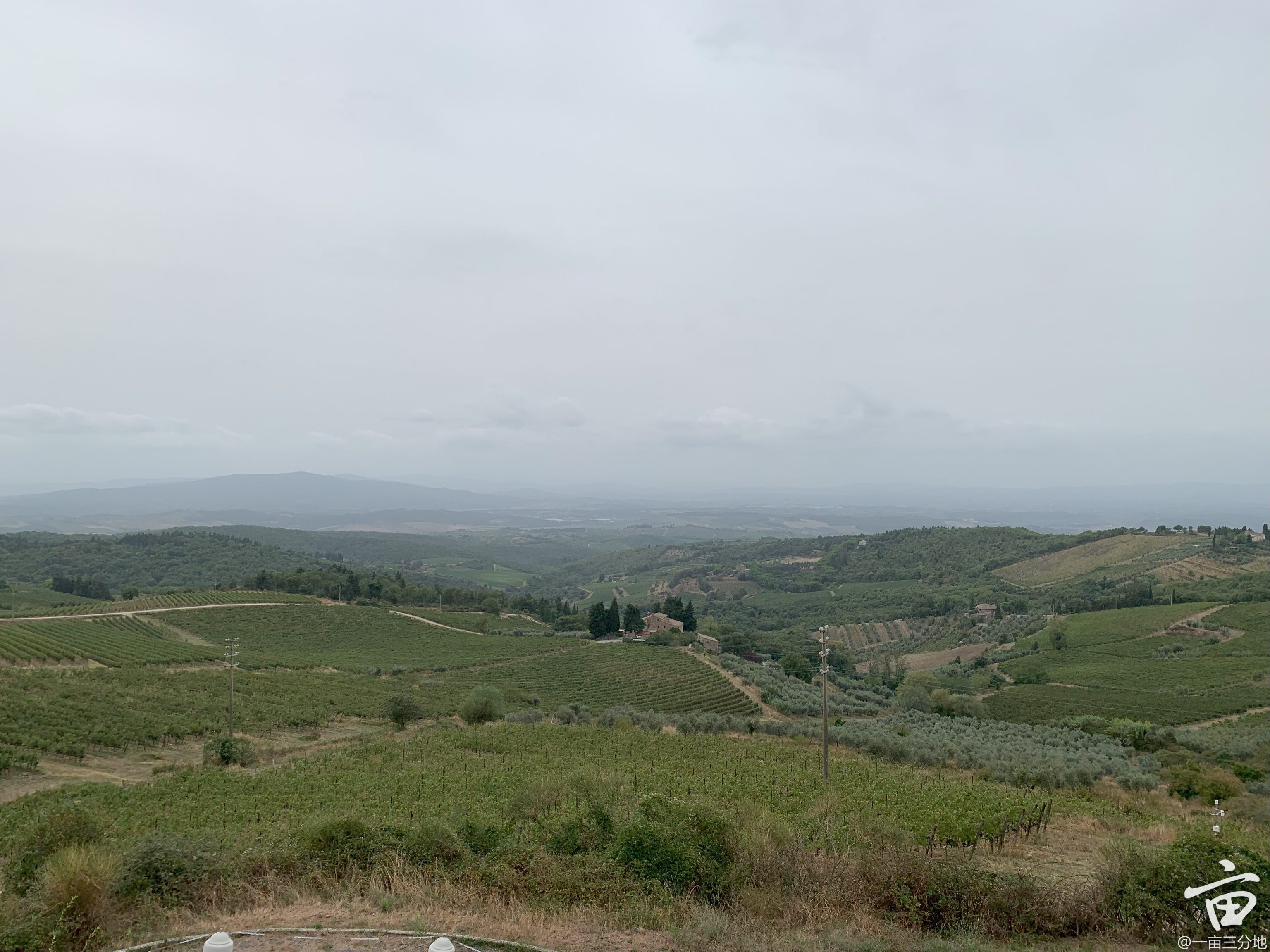 castellina.jpg