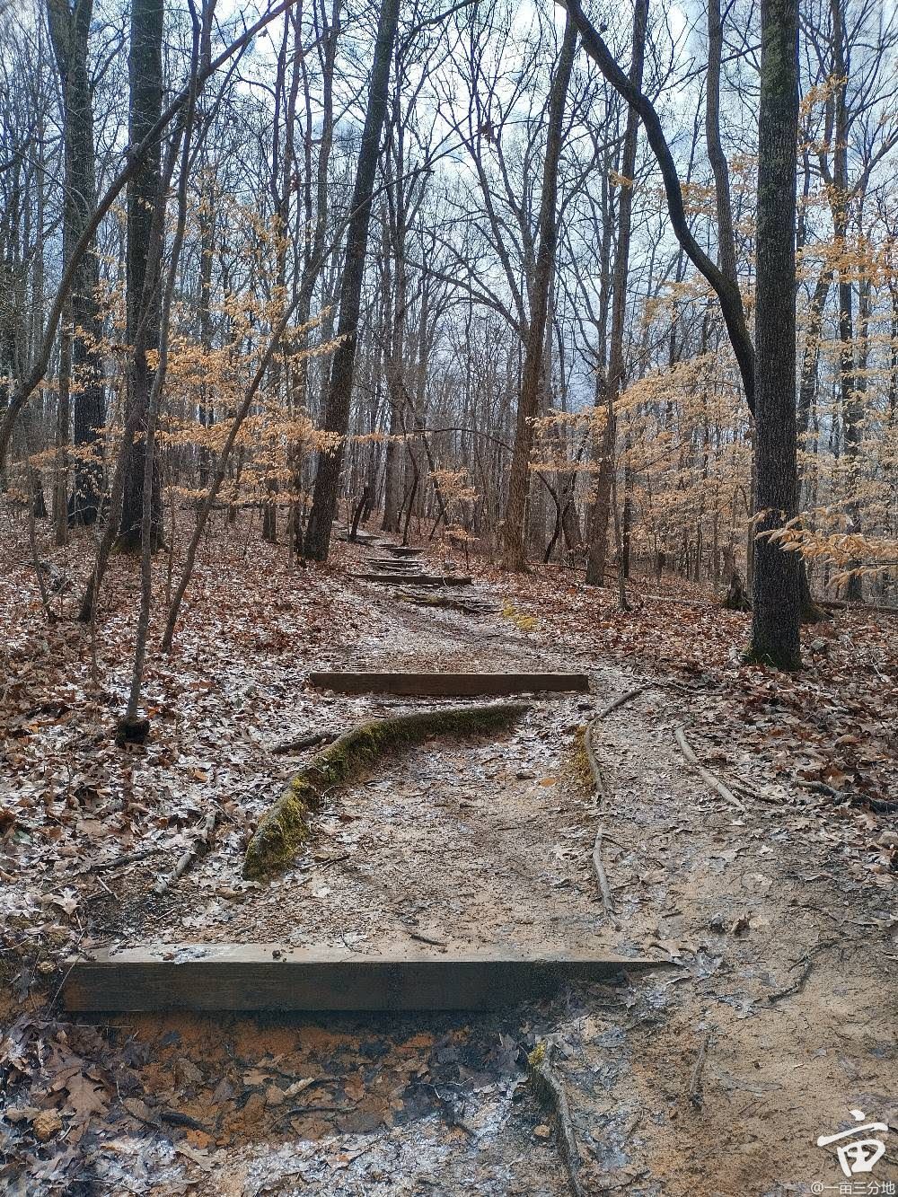 attachment (4).jpg