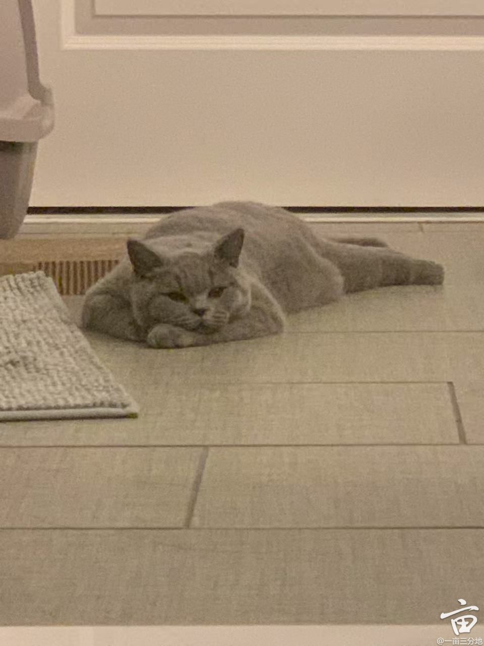 WechatIMG3.jpg
