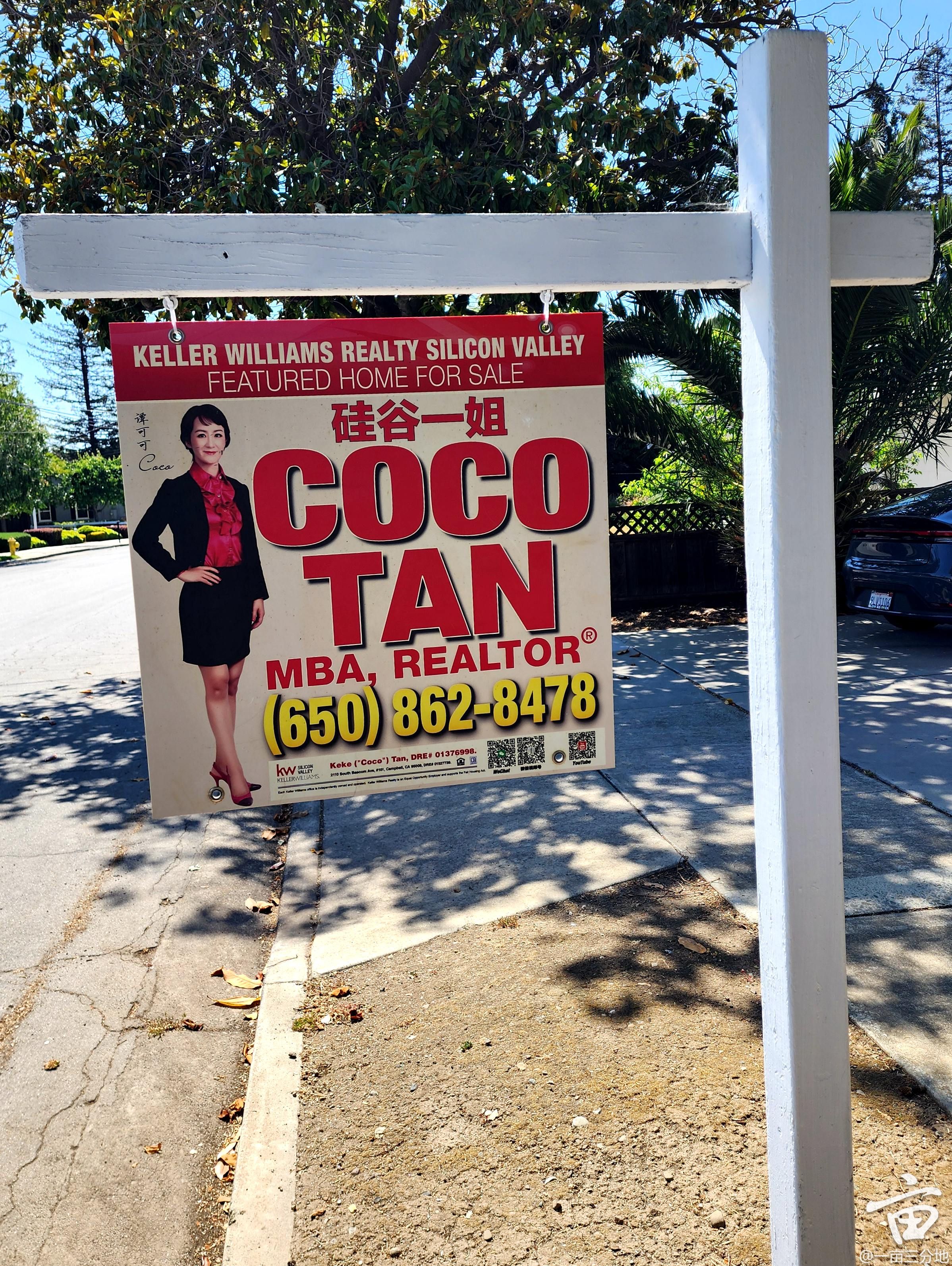 coco_1.jpg