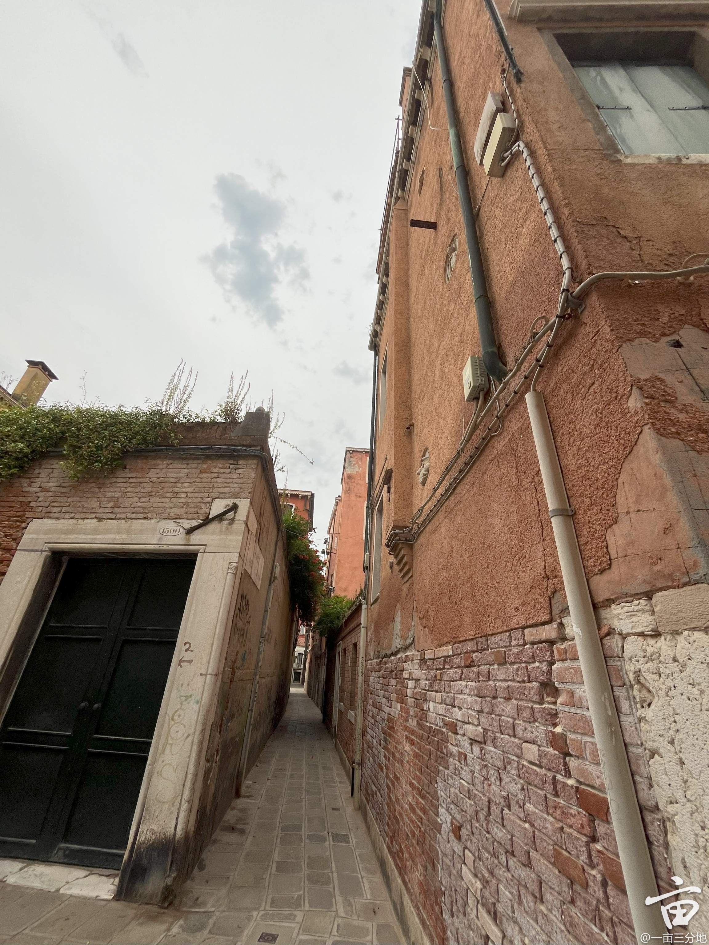 salviati bank.jpg