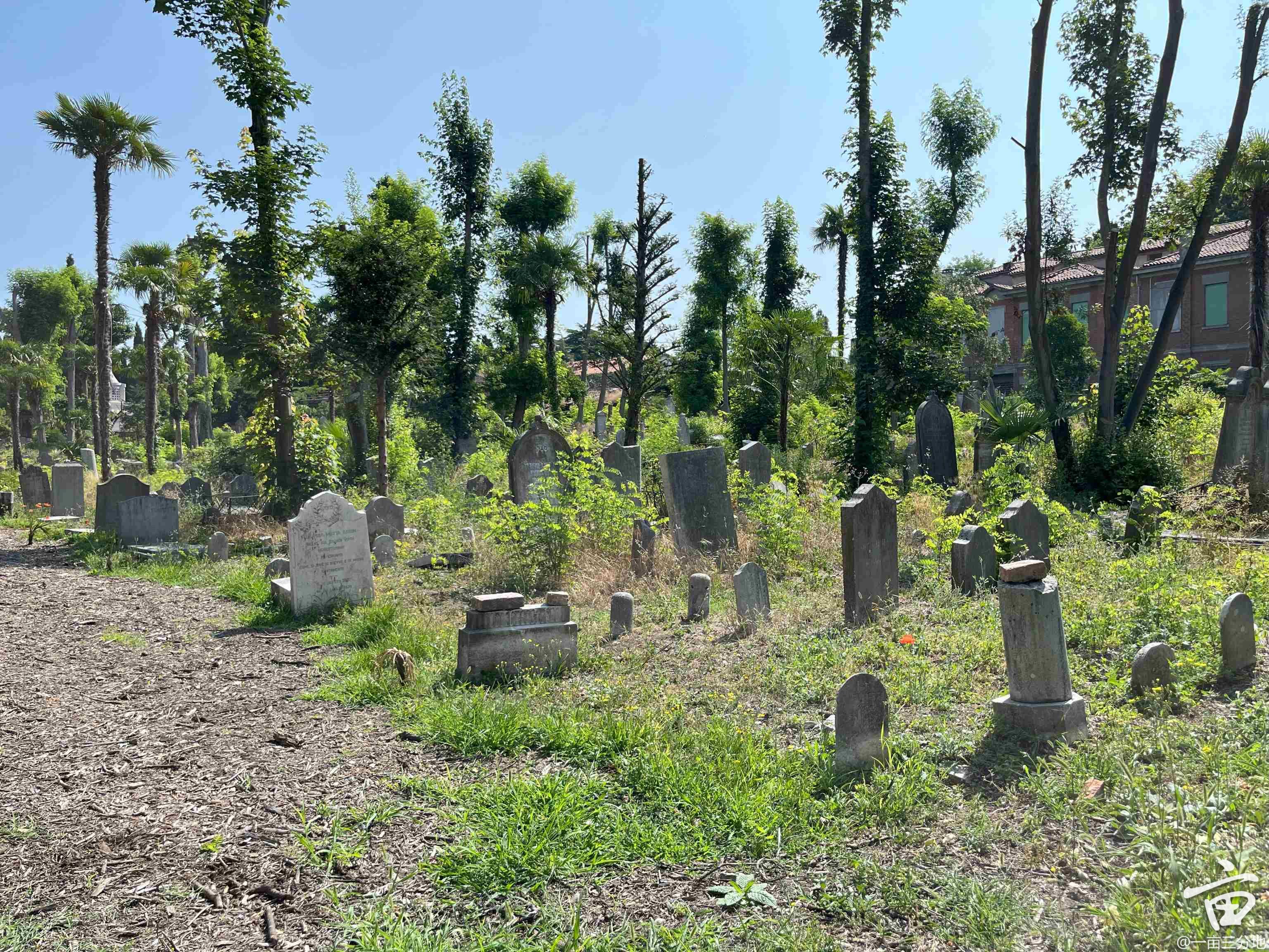 jewish graveyard.jpg