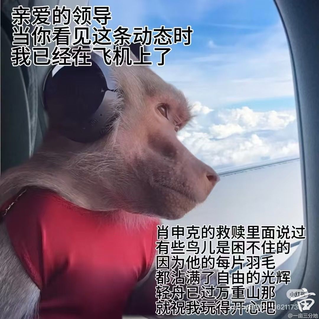 65815697-D51F-4C64-82C2-36B19F2407C8.jpg