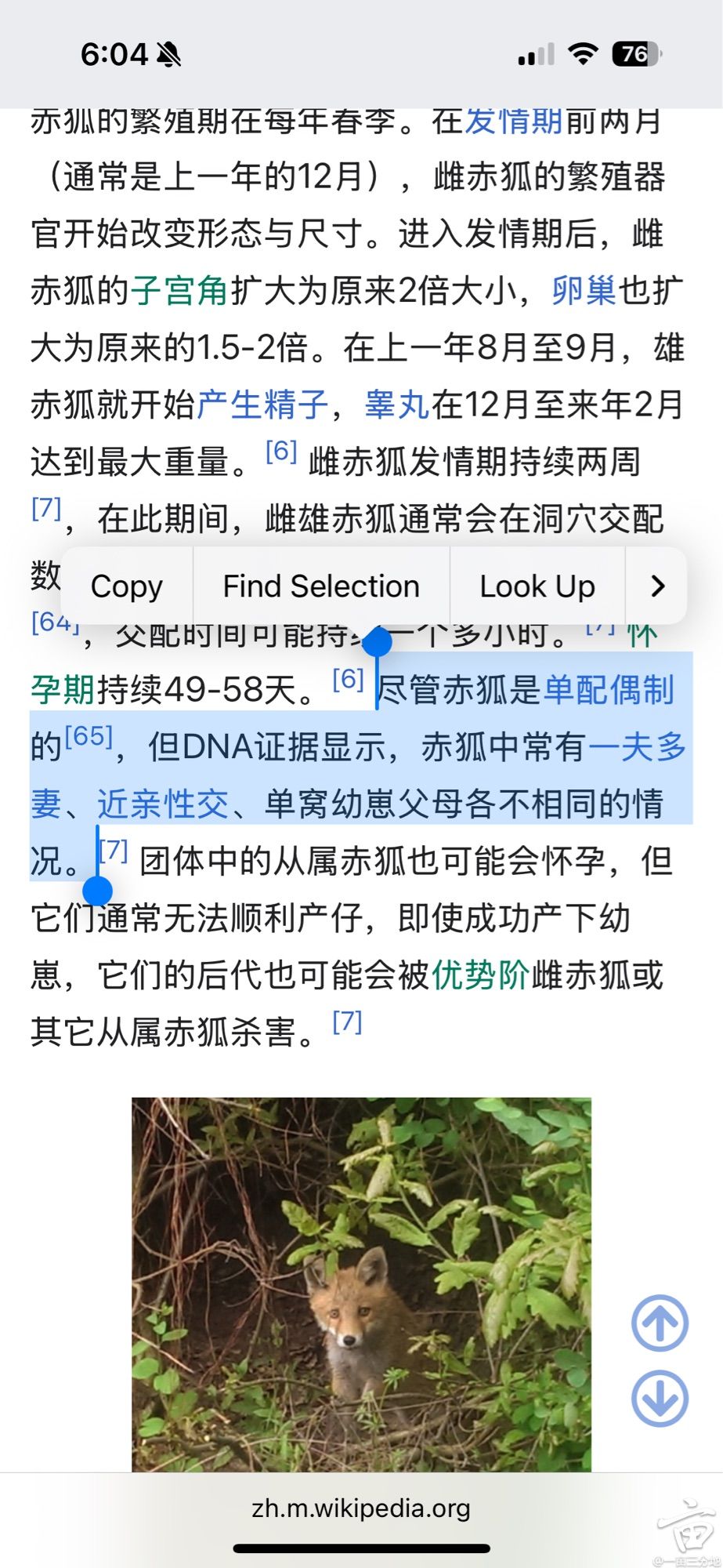 24CB4A2E-7079-41BC-B84D-23F378A59436.jpg