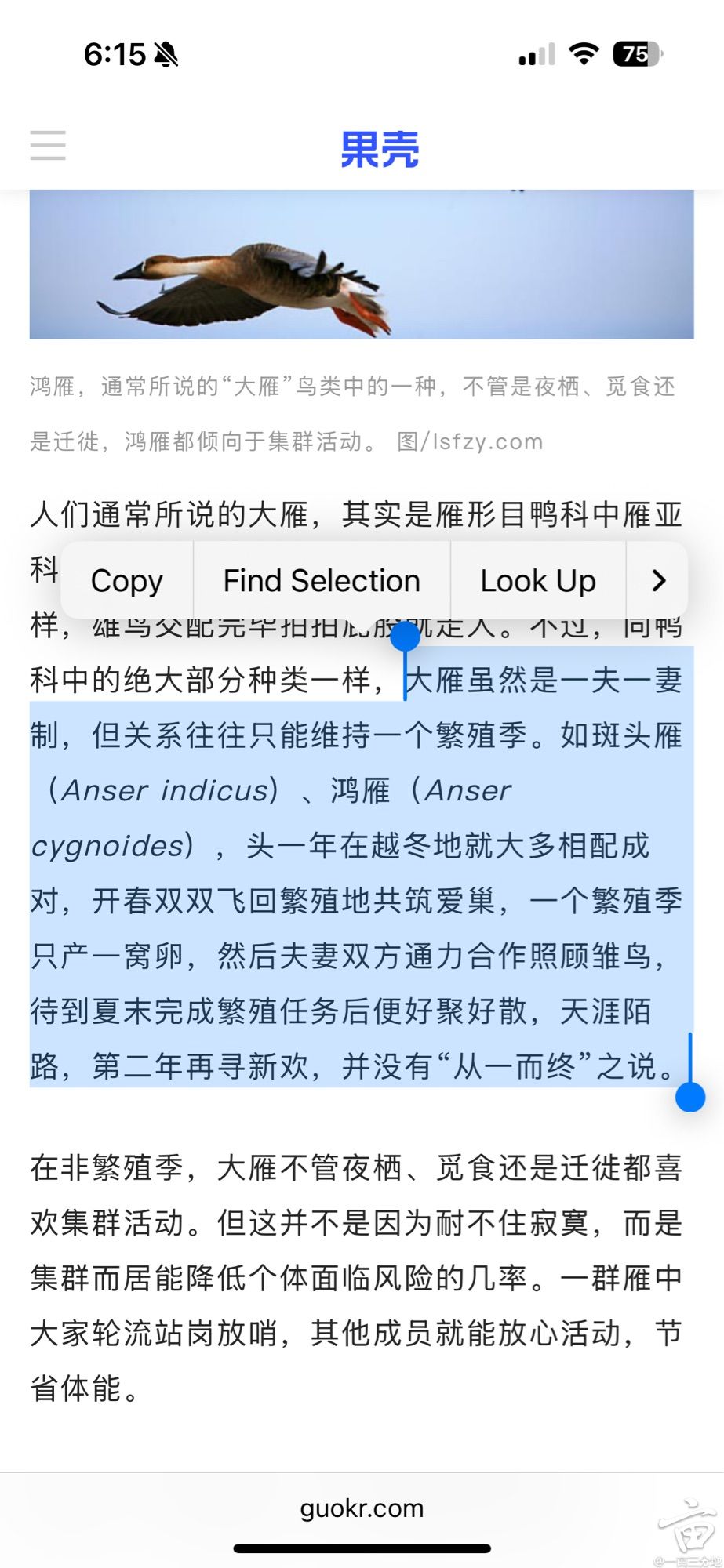 3B804B87-4D0C-44B6-AF96-95E5243A46D7.jpg