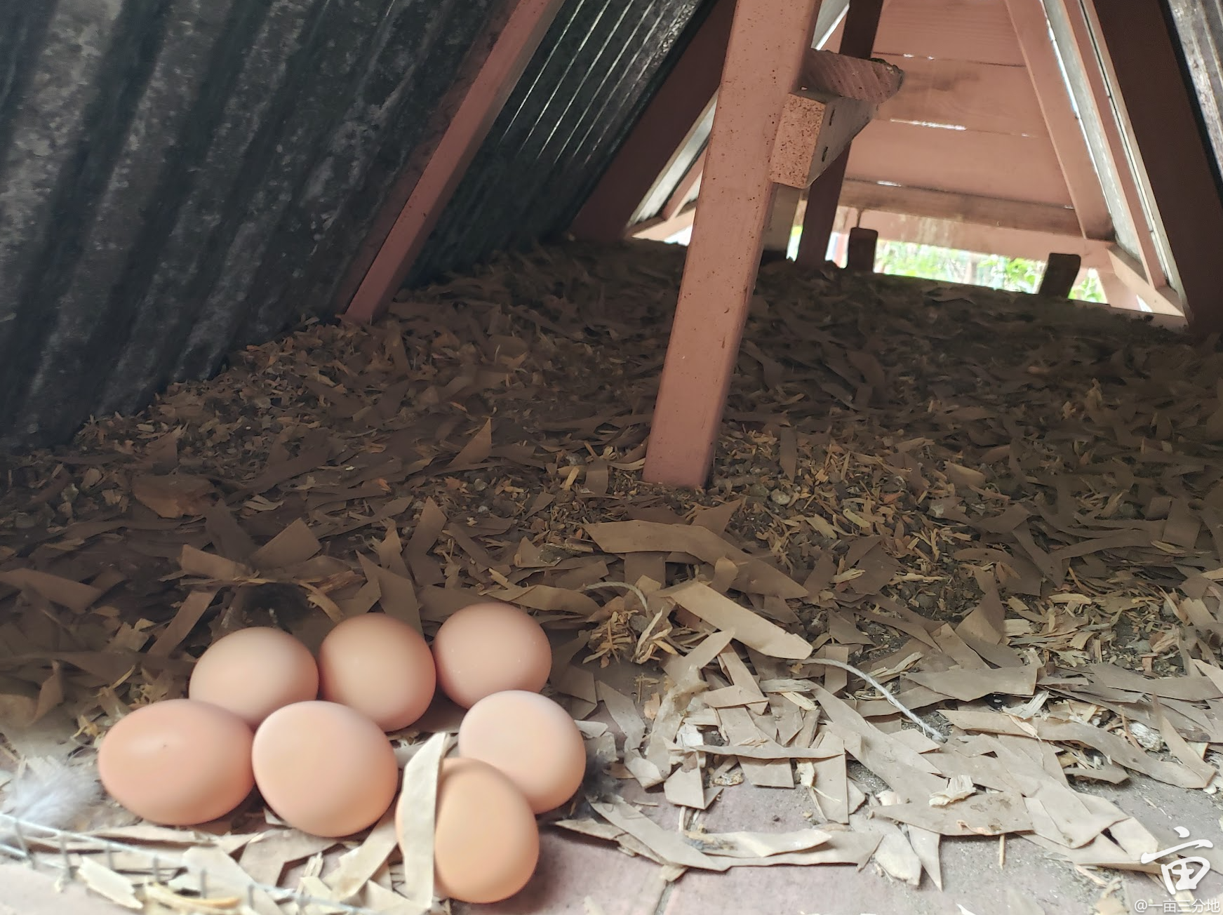 导读-最新热门- 一亩三分地- 手机版