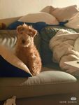 ��ͻȻ��lay�ˣ�����׾ȹ���