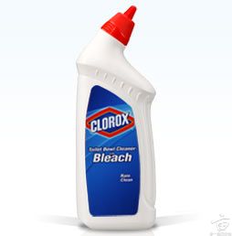 clorox-toilet-bowl-cleaner-with-bleach-yikes.jpg