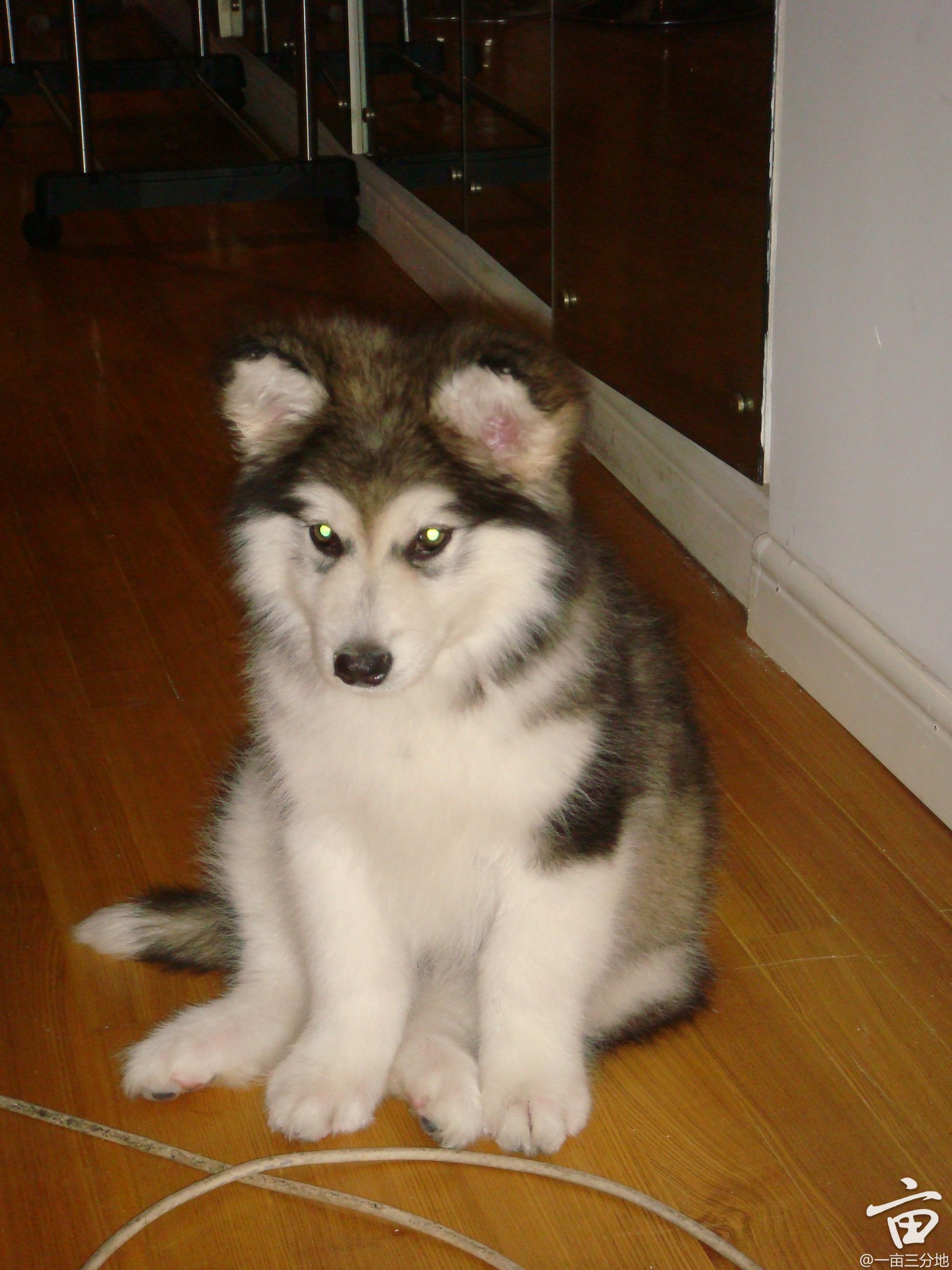 DSC02130.JPG
