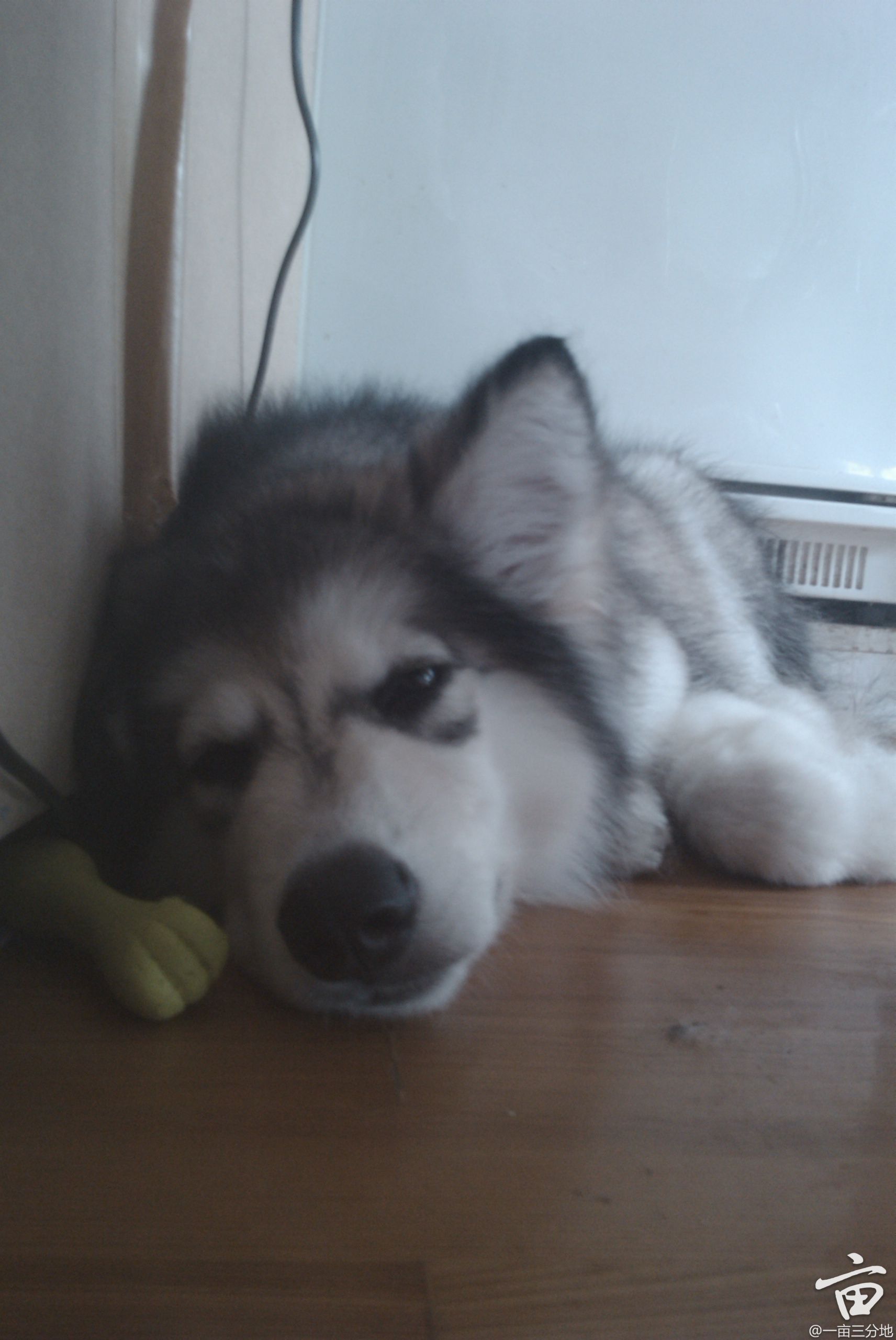 IMAG0079.jpg
