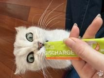 �������٣�а�������㱻�ȴ�����