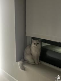 ȫ�����������ȶ��Ĺ�����