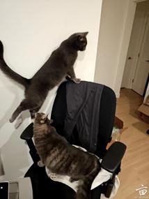 ������ۣ��������