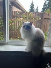 [���׻�è��][ɹè]������è��ͥ�����ʼǣ��Է�����ˮ�����