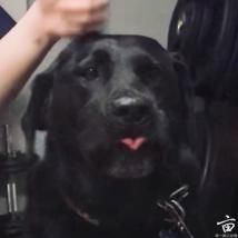 �����ˣ�ֻ�ܿ�����������ˣ���