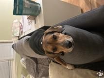 �ҷ��ĳ�������Ų���� ��ɧ�г� ������Ҫ�ط�һ��
