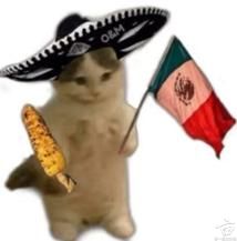 ����èƬ🐈