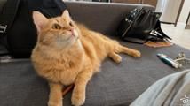 ɹè���׿��澭����