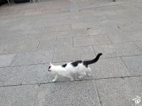 ��ɽ̫�幬����🐱-����