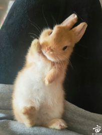 ����ҷ����ɰ���С��ߴ���������׿��澭