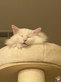 ������׺������׿���🐱