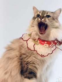 èè�����!