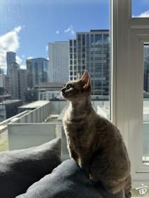 �ҹ����׿���� ɹɹ�Լ�����