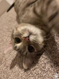 ɰƬ