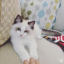 ������ǧ�����������ó���