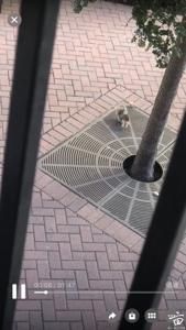 ������������󡣴��������ԣ�·�������ס�����