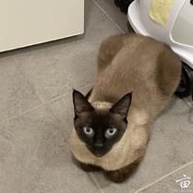 ����������ú����Ƭ�����