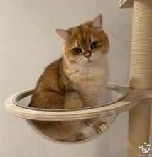 ���и���ҹ�ϲ��������