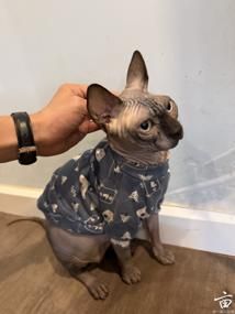 ɹèè�����