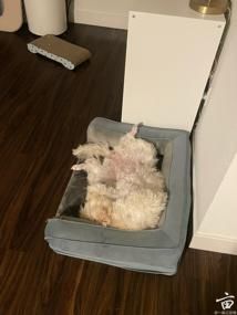 ��ô����С����������ֵֹ�˯����