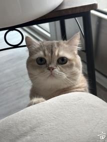 ����è�任����