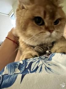 ����ף�èè���գ����׿��澭🥹