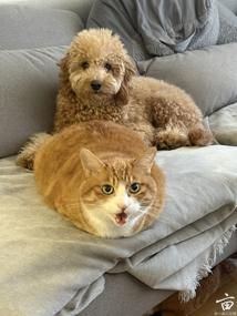 �׳�������è�ٹ� ���׿��澭