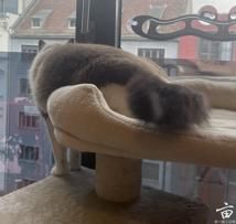 ���صĴ��ȡ���🐱��🍚