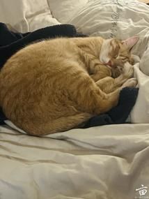 �ɰ����� ��������