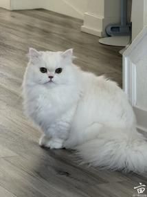 ɹɹ����İ���С���� ����ס�